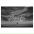 51er