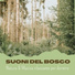 Bosco Bianco