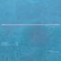 Remora