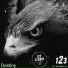 123studio