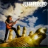 Junior Ribeiro