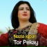 Nazia Iqbal