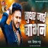 Vishal Bhatt