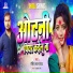ROHIT LAL YADAV