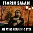 Florin Salam