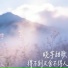 晓芋甜歌