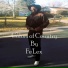 Fe'lex