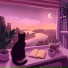Osya Cat