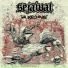 Sejawat