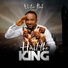 Victor Ibeh (Vibes)