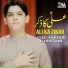 Syed Fakhur E Hussain