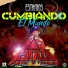 SONIDO PIRATA, Grupo Maravilla de Robin Revilla