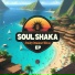 Soulshaka