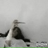 эскизз