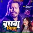 Parmila Gosh, Vishal Gagan, Shivani Singh