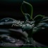 Massage Music, Amazing Spa Music, Calming Sounds