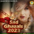 Arshad Kamli