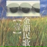 江志棋