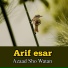 Arif esar