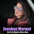 Zeeshan Marwat