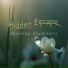 Hidden Escape
