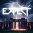Expert