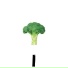Croosh