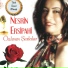 Nesrin Ersipahi
