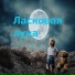 Светлый закат, Теплый сон, звездная ночь