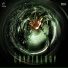 Crypsis