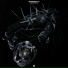 Tenebral cortex
