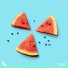 MELON, Steve Void, Dance Fruits Music