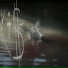 LUNA CRUISE