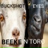 BEEKE N TORO