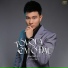 Đinh Tùng Huy, ACV