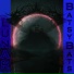 Batsy Bats