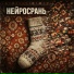 Костырь