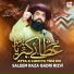 Saleem Raza Qadri Rizvi