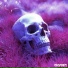 drugside