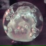 Darkside (Nicolas Jaar Dave Harrington)