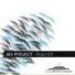 J&S Project