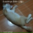 Gatra Laringal