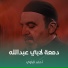 أحمد الباوي