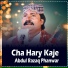 Abdul Razaq Phanwar