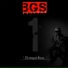 BGS Project