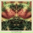 All Them Witches