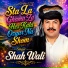 Shah Wali