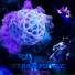 ATANA PURPLE