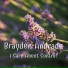 Brayden Andrade
