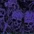b1xxdmint